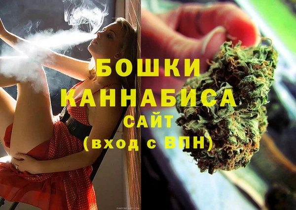 молекула духа Покров