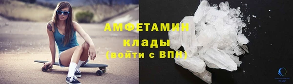 молекула духа Покров