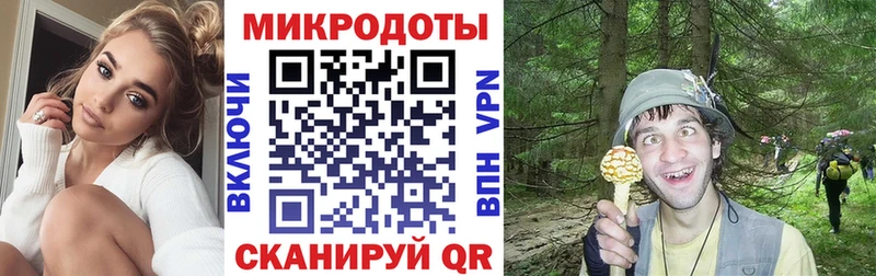 Псилоцибиновые грибы Psilocybine cubensis blacksprut как зайти Чебаркуль закладки